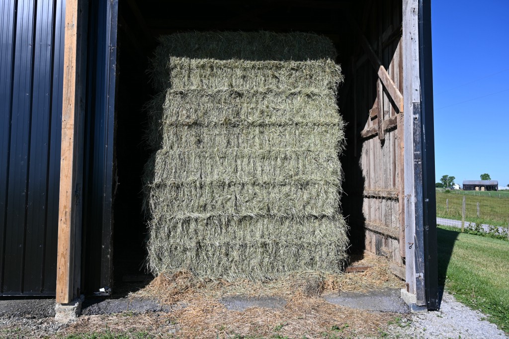 Mixed Grass Hay 3X3X8 Bales Craigmyle Farm Equipment Used Tractors