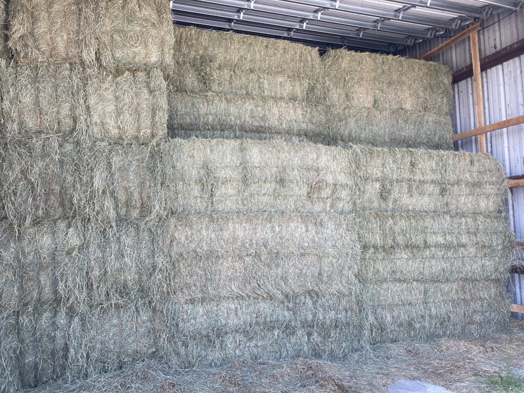 Cost Of Large Square Bales Of Hay